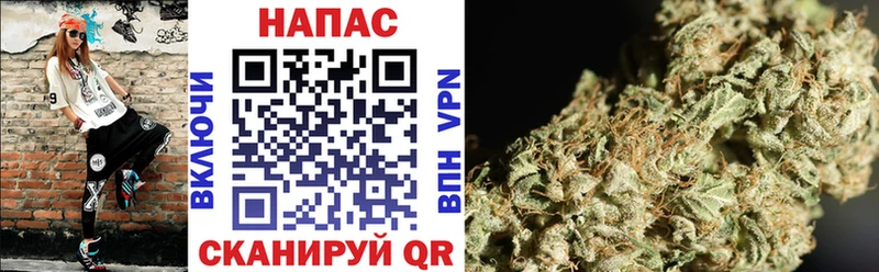 МАРИХУАНА планчик Купить закладки Барнаул